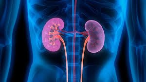 Kidney Care